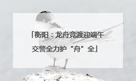 衡阳：龙舟竞渡迎端午 交警全力护“舟”全
