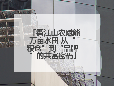 衢江山农赋能万亩水田 从“粮仓”到“品牌”的共富密码