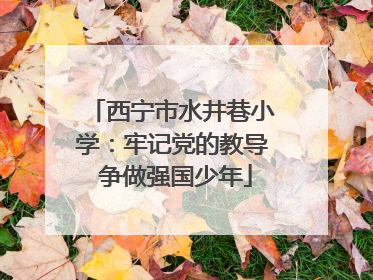 西宁市水井巷小学：牢记党的教导 争做强国少年
