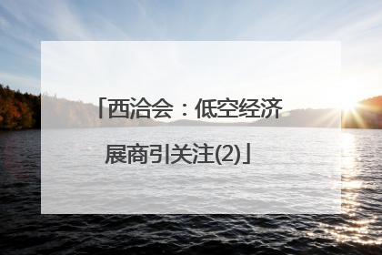 西洽会：低空经济展商引关注(2)