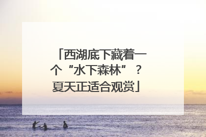 西湖底下藏着一个“水下森林”？夏天正适合观赏