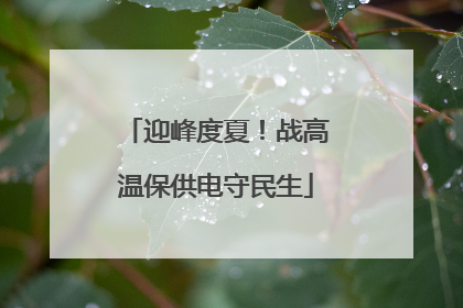 迎峰度夏！战高温保供电守民生