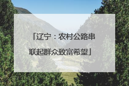 辽宁：农村公路串联起群众致富希望