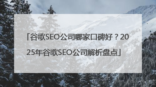 谷歌SEO公司哪家口碑好？2025年谷歌SEO公司解析盘点