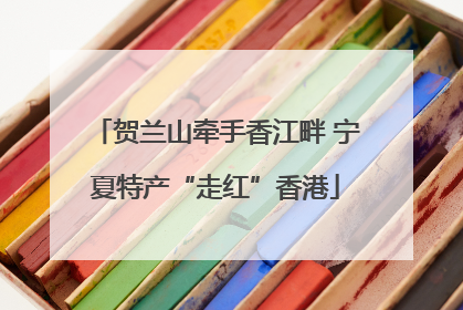 贺兰山牵手香江畔 宁夏特产“走红”香港