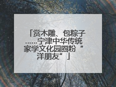 赏木雕、包粽子……宁津中华传统家学文化园圈粉“洋朋友”
