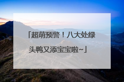 超萌预警!八大处绿头鸭又添宝宝啦~