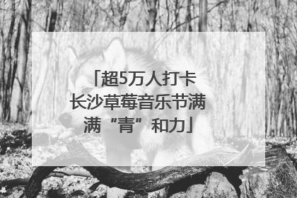 超5万人打卡 长沙草莓音乐节满满“青”和力