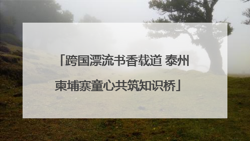 跨国漂流书香载道 泰州柬埔寨童心共筑知识桥