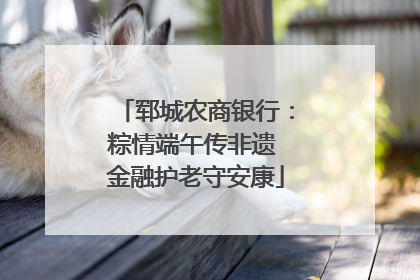 郓城农商银行：粽情端午传非遗 金融护老守安康