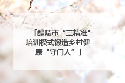 醴陵市“三精准”培训模式锻造乡村健康“守门人”