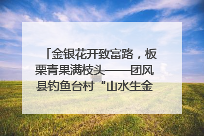 金银花开致富路，板栗青果满枝头——团风县钓鱼台村“山水生金”谱写共富新篇章