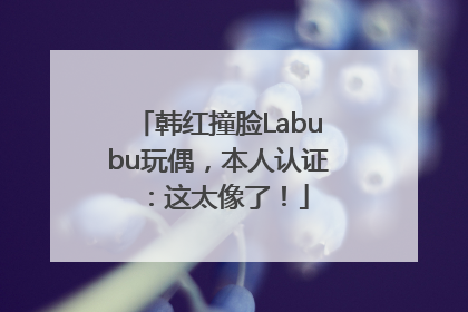韩红撞脸Labubu玩偶，本人认证：这太像了！