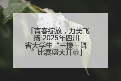 青春绽放，力美飞扬 2025年四川省大学生“三操一舞”比赛盛大开幕