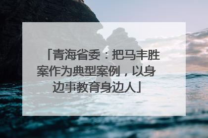 青海省委：把马丰胜案作为典型案例，以身边事教育身边人