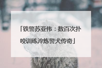 铁警苏亚伟：数百次扑咬训练淬炼警犬传奇