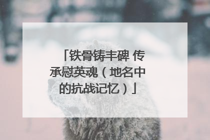 铁骨铸丰碑 传承慰英魂（地名中的抗战记忆）