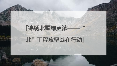 锦绣北疆绿更浓——“三北”工程攻坚战在行动