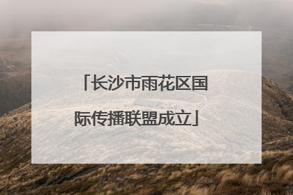 长沙市雨花区国际传播联盟成立