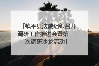 镇平县法院组织召开调研工作推进会暨第三次调研沙龙活动