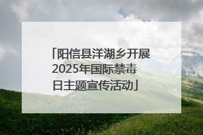 阳信县洋湖乡开展2025年国际禁毒日主题宣传活动