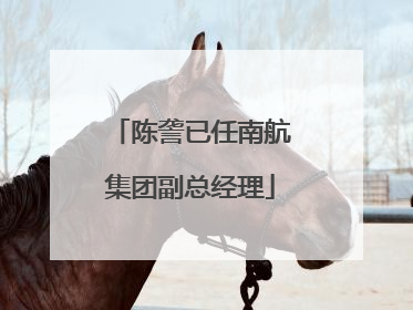 陈詟已任南航集团副总经理