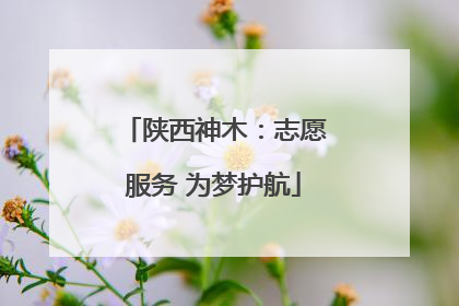 陕西神木：志愿服务 为梦护航