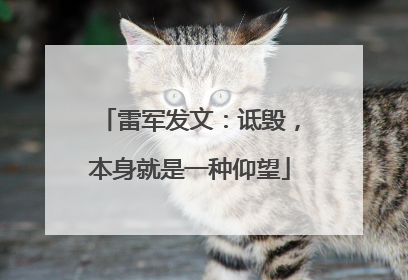 雷军发文：诋毁，本身就是一种仰望
