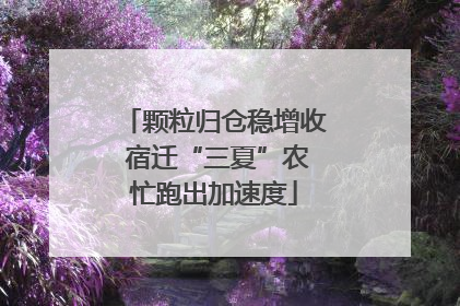 颗粒归仓稳增收 宿迁“三夏”农忙跑出加速度