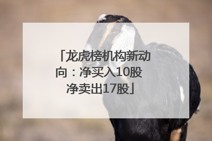 龙虎榜机构新动向：净买入10股 净卖出17股