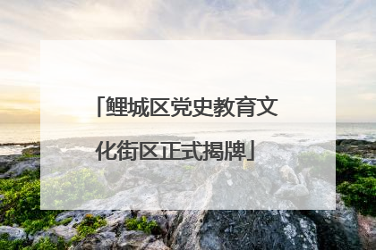 鲤城区党史教育文化街区正式揭牌