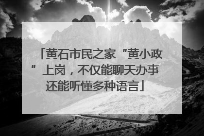 黄石市民之家“黄小政”上岗，不仅能聊天办事还能听懂多种语言