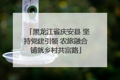 黑龙江省庆安县 坚持党建引领 农旅融合铺就乡村共富路