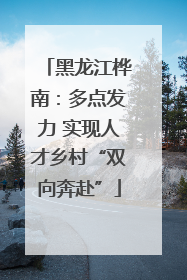 黑龙江桦南：多点发力 实现人才乡村“双向奔赴”