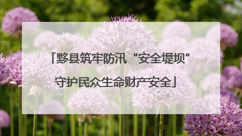 黟县筑牢防汛“安全堤坝” 守护民众生命财产安全