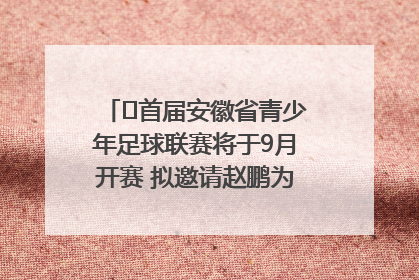 ﻿首届安徽省青少年足球联赛将于9月开赛 拟邀请赵鹏为先导赛开球