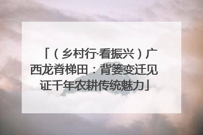 （乡村行·看振兴）广西龙脊梯田：背篓变迁见证千年农耕传统魅力