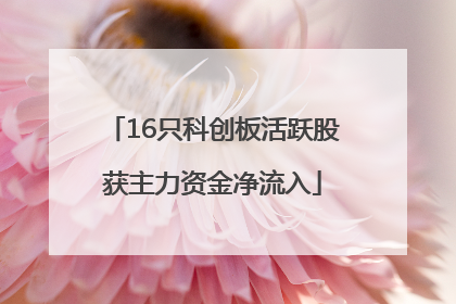 16只科创板活跃股获主力资金净流入