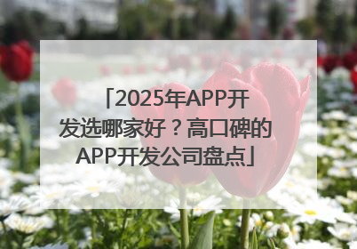 2025年APP开发选哪家好？高口碑的APP开发公司盘点