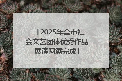 2025年全市社会文艺团体优秀作品展演圆满完成