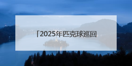 2025年匹克球巡回赛江西庐山西海站收官