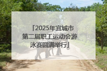 2025年宜城市第二届职工运动会游泳赛圆满举行