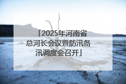 2025年河南省总河长会议暨防汛备汛调度会召开