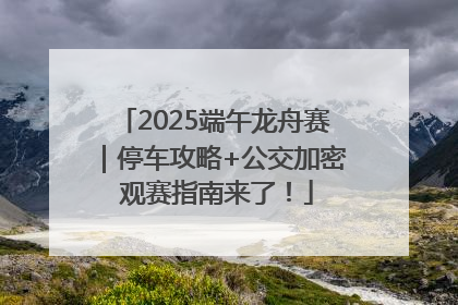 2025端午龙舟赛｜停车攻略+公交加密 观赛指南来了！