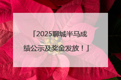 2025聊城半马成绩公示及奖金发放！