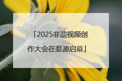 2025非遗视频创作大会在婺源启幕