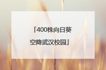 400株向日葵空降武汉校园