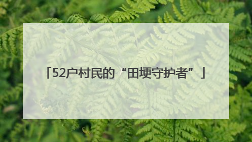 52户村民的“田埂守护者”