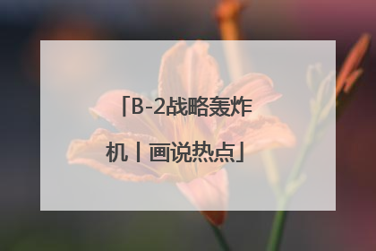 B-2战略轰炸机丨画说热点