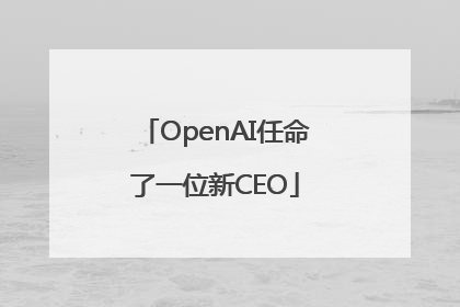 OpenAI任命了一位新CEO